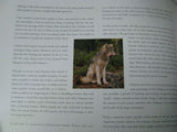 Brother Wolf A Forgotten Promise Jim Brandenburg Signed About Wolves In The Wild